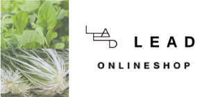 LEAD ONLINE SHOPボタン