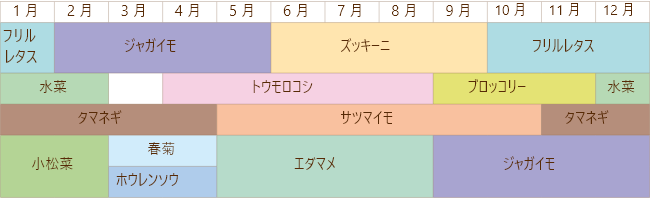 1年間の栽培計画表