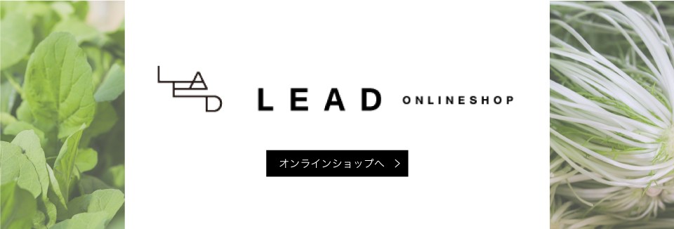 LEAD ONLINE SHOP